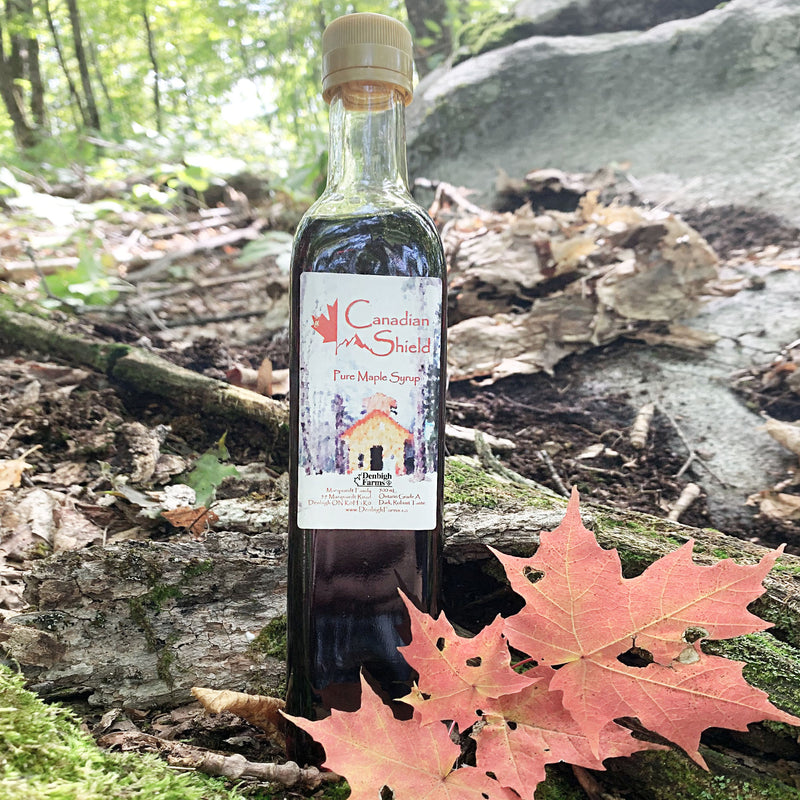 Denbigh Farms Canadian Shield Maple Syrup in forest