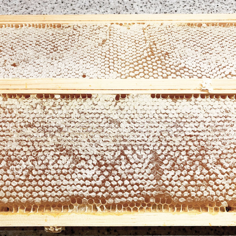 Three Sisters Comb Honey in frame